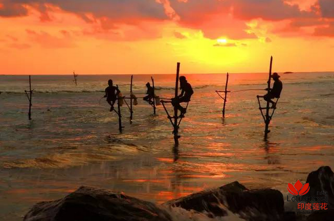 斯里兰卡高跷钓鱼