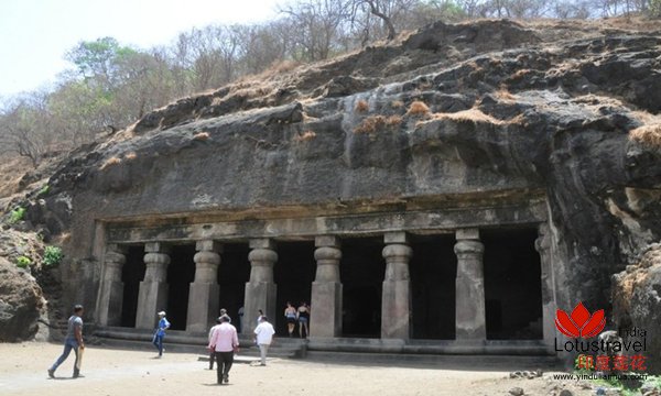 神象岛 Elephant Island